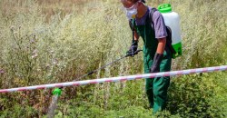 В Днепре одну из улиц огородили лентой и опрыскивают: что происходит - рис. 4