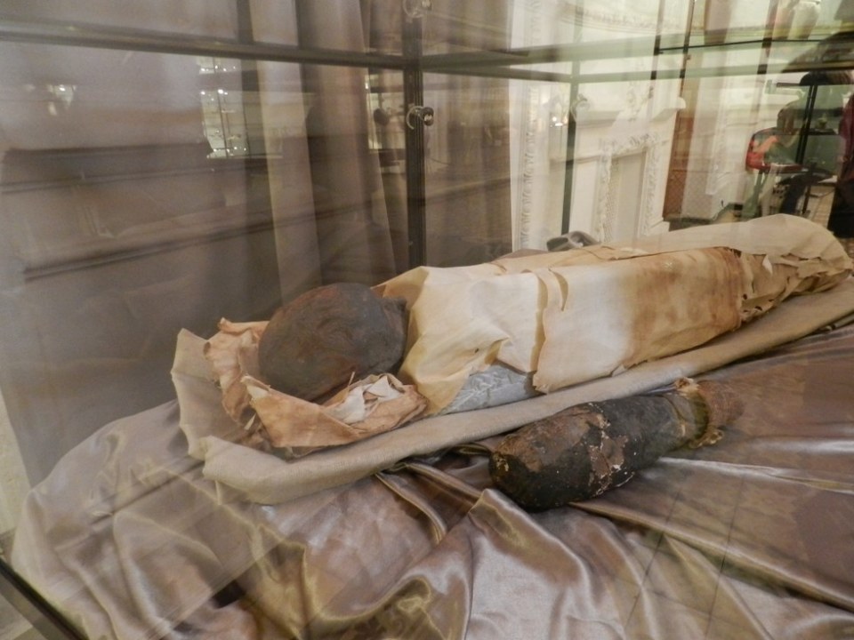 Иногда она возвращается: история днепровской мумии - рис. 1