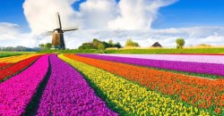 Амстердам отменяется: Нидерланды ввели карантин для приезжих с Украины - рис. 2