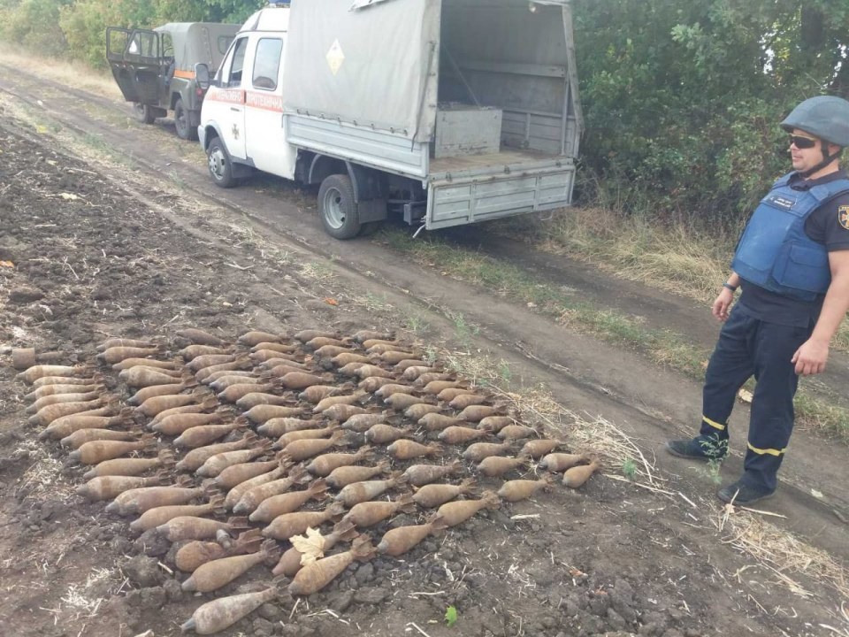 Опасный урожай: под Днепром нашли минное поле - рис. 2
