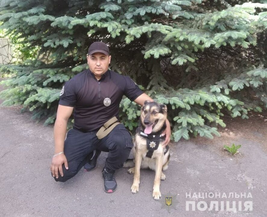 На Днепропетровщине женщина заблудилась в лесу с маленьким ребенком: их спасла служебная собака - рис. 1