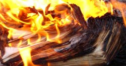 В Днепре вандалы украли книги из библиотеки и сожгли на костре - рис. 12