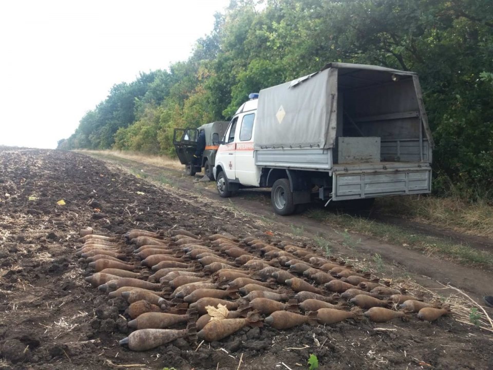 Опасный урожай: под Днепром нашли минное поле - рис. 1