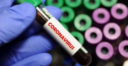 Ещё 15 случаев: актуальная статистика по коронавирусу в Днепре - рис. 20