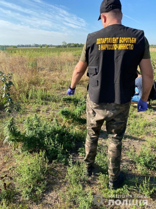 Наркотиков на 3 миллиона: на Днепропетровщине задержали наркодельца - рис. 2