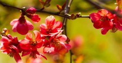 Какая погода будет в Днепре и области 28 августа - рис. 15