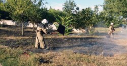 Пожар в Павлограде: посреди города загорелась сухая трава - рис. 5