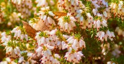 Какая погода будет в Днепре и области 26 августа - рис. 17