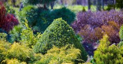 Какая погода будет в Днепре и области 29 августа - рис. 14