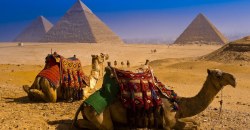 Туристам на заметку: Египет вводит обязательные ПЦР-тесты для въезда - рис. 6