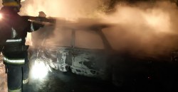ВАЗ в огне: на Днепропетровщине сгорел автомобиль (ФОТО) - рис. 6