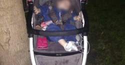В парке Днепра нашли младенца в коляске: пьяная мать ушла домой - рис. 13
