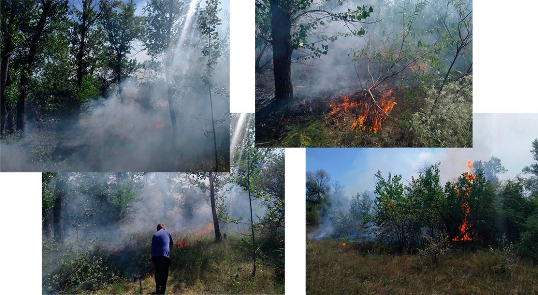По неосторожности: в Днепре отдыхающие подожгли "Фрунзенский" лес - рис. 1