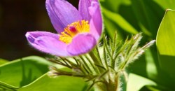 Какая погода будет в Днепре и области 10 сентября - рис. 2