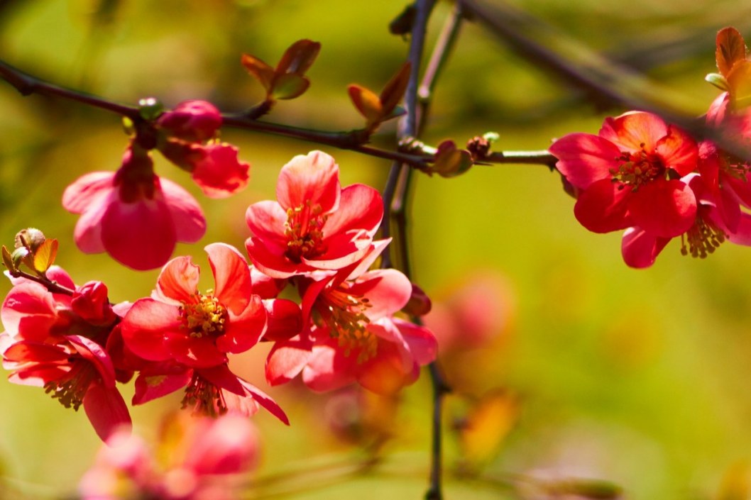 Какая погода будет в Днепре и области 2 сентября - рис. 1