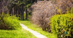 Какая погода будет в Днепре и области 18 сентября - рис. 16