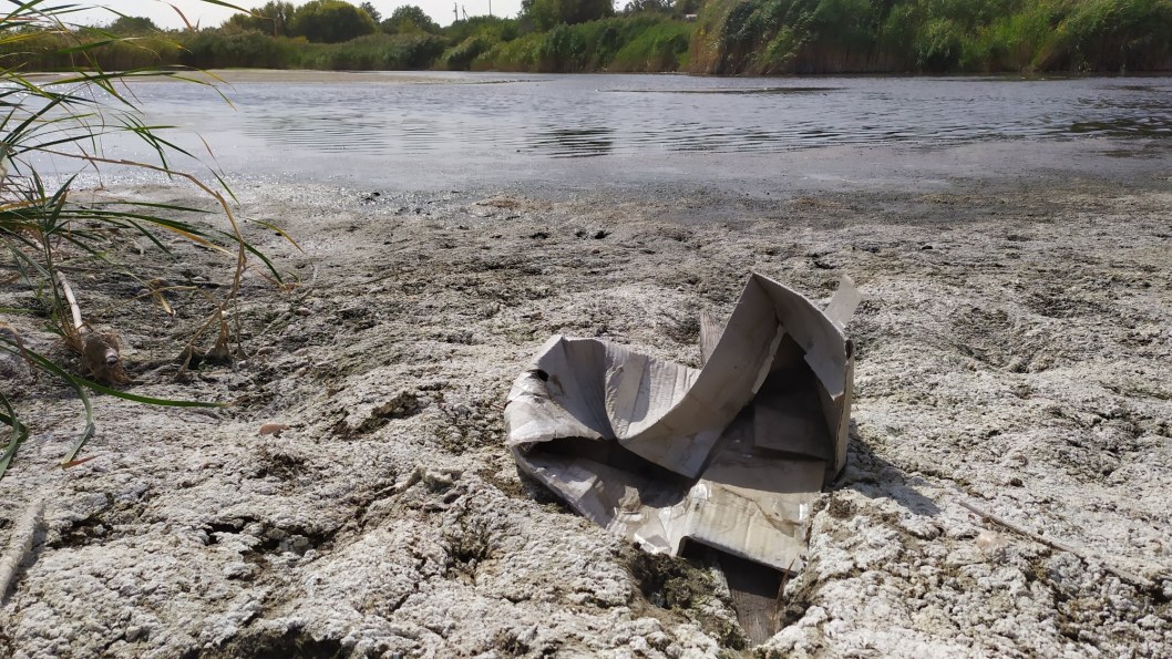 Гибнут раки и лебеди: под Днепром пересыхает река (ФОТО) - рис. 3