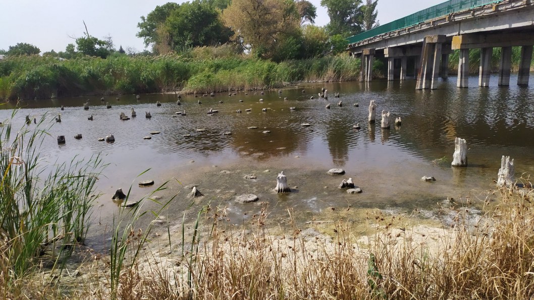 Гибнут раки и лебеди: под Днепром пересыхает река (ФОТО) - рис. 4
