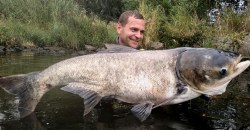 В Днепре подводный охотник подстрелил гигантского толстолоба - рис. 22