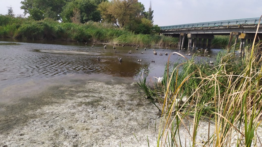Гибнут раки и лебеди: под Днепром пересыхает река (ФОТО) - рис. 6