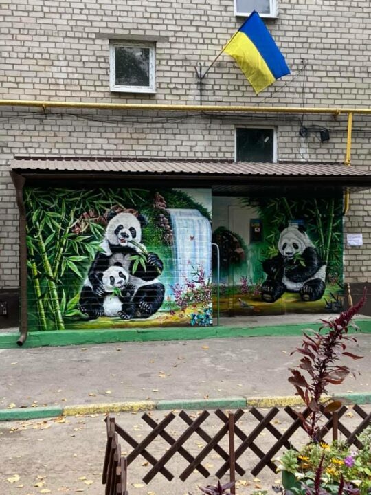 В днепровской многоэтажке поселилось семейство панд - рис. 1