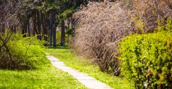 Какая погода будет в Днепре и области 11 сентября - рис. 1