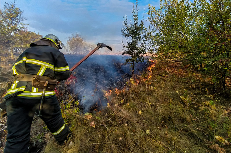 Возле Верхнеднепровска масштабный пожар: выгорело почти 2 гектара сухой травы - рис. 3