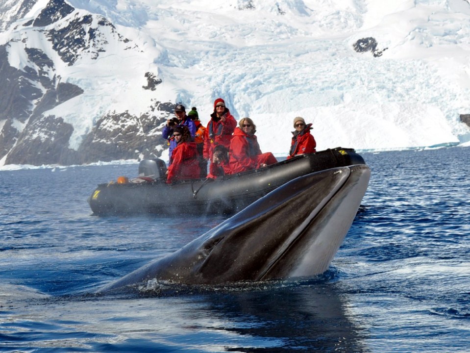 Экспедиция в Антарктиду: в МОН ищут будущих полярников - рис. 1