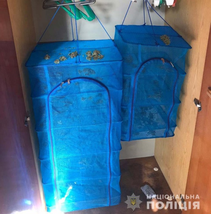 Выращивал в теплице: в Днепре задержали наркоторговца - рис. 3
