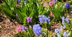 Какая погода будет в Днепре и области 5 сентября - рис. 7