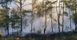 Под Днепром 4 часа тушили пылающий лес - рис. 5