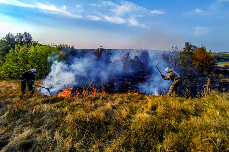 Возле Верхнеднепровска масштабный пожар: выгорело почти 2 гектара сухой травы - рис. 2