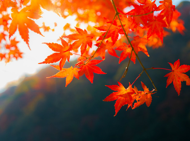 Какая погода будет в Днепре и области 23 сентября - рис. 1