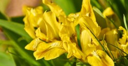 Какая погода будет в Днепре и области 9 сентября - рис. 3