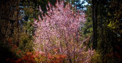 Какая погода будет в Днепре и области 17 сентября - рис. 17