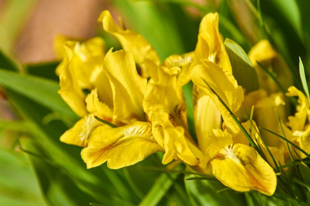 Какая погода будет в Днепре и области 1 сентября - рис. 1