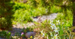 Какая погода будет в Днепре и области 12 сентября - рис. 22