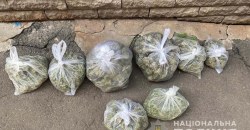 В Новомосковске у местного жителя изъяли 8 пакетов с наркотиками - рис. 3