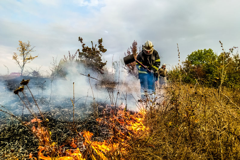 Возле Верхнеднепровска масштабный пожар: выгорело почти 2 гектара сухой травы - рис. 1