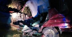 На Днепропетровщине произошла авария: водителя и пассажирку вырезали из автомобиля - рис. 4