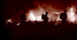 Сразу несколько очагов возгорания: в Днепре на Байкальской горели сады - рис. 5