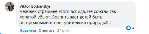 Под Днепром змея заползла на территорию школы, перепугав всех вокруг - рис. 3