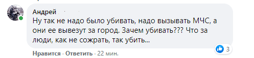 Под Днепром змея заползла на территорию школы, перепугав всех вокруг - рис. 4