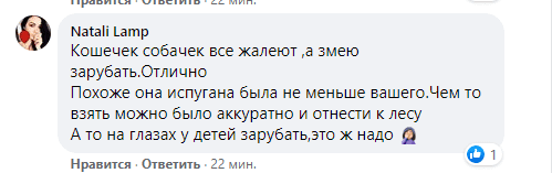 Под Днепром змея заползла на территорию школы, перепугав всех вокруг - рис. 5