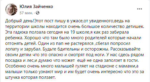 Под Днепром змея заползла на территорию школы, перепугав всех вокруг - рис. 1