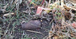 Опасные находки: за день на Днепропетровщине обнаружили две мины - рис. 7