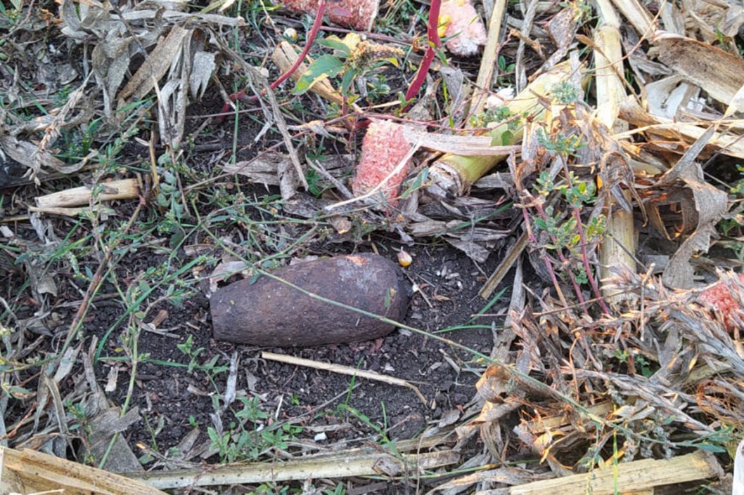 Опасные находки: за день на Днепропетровщине обнаружили две мины - рис. 2