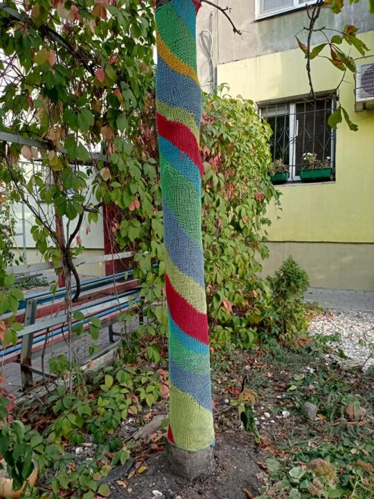 В Днепре связали красочный свитер для дерева - рис. 1