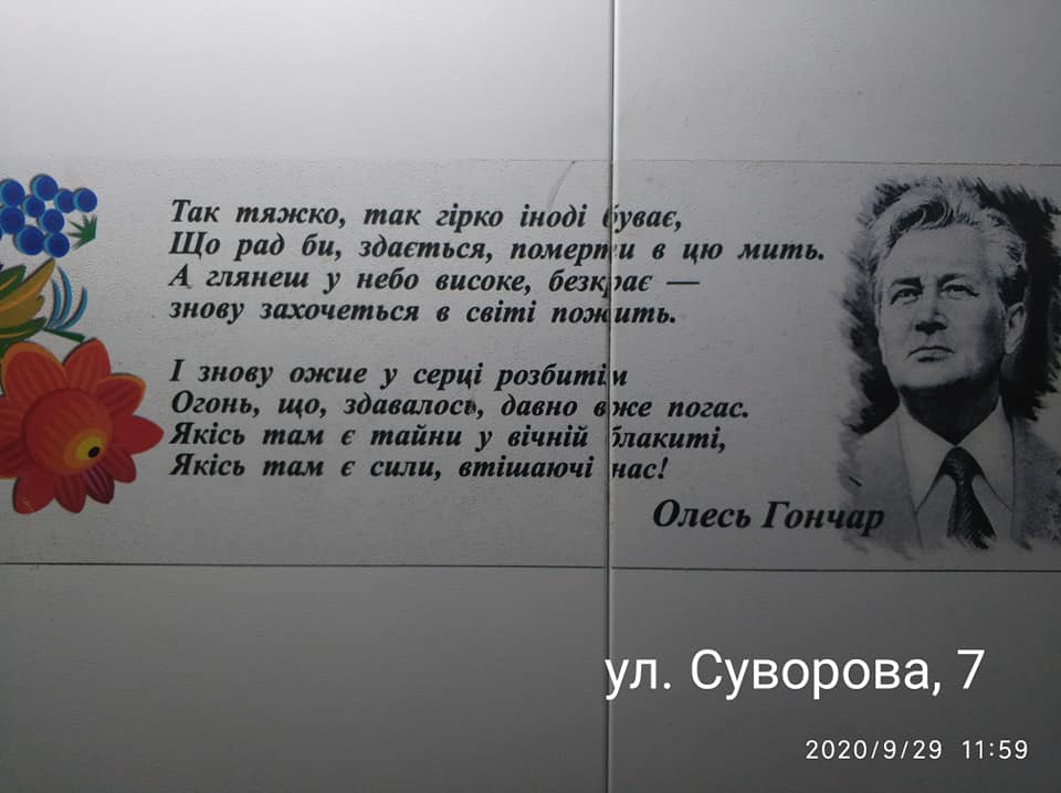 В многоэтажке Днепра появился лифт с петриковской росписью и стихами - рис. 1
