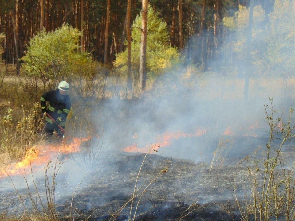 В Луганской области из-за масштабных пожаров эвакуируют села - рис. 2